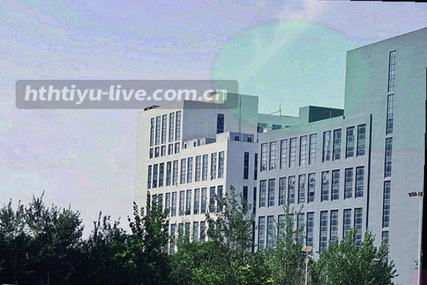 体育竞技场的动态模糊画面，充满速度感